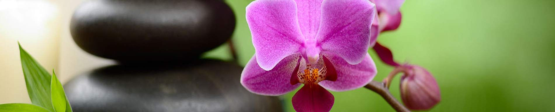 The alt text should be a concise description of the image content without any assumptions or interpretations. Here's an example:
'An image featuring a vibrant purple orchid with delicate petals, resting on a stack of smooth, dark gray stones, which are placed against a backdrop of lush green foliage.