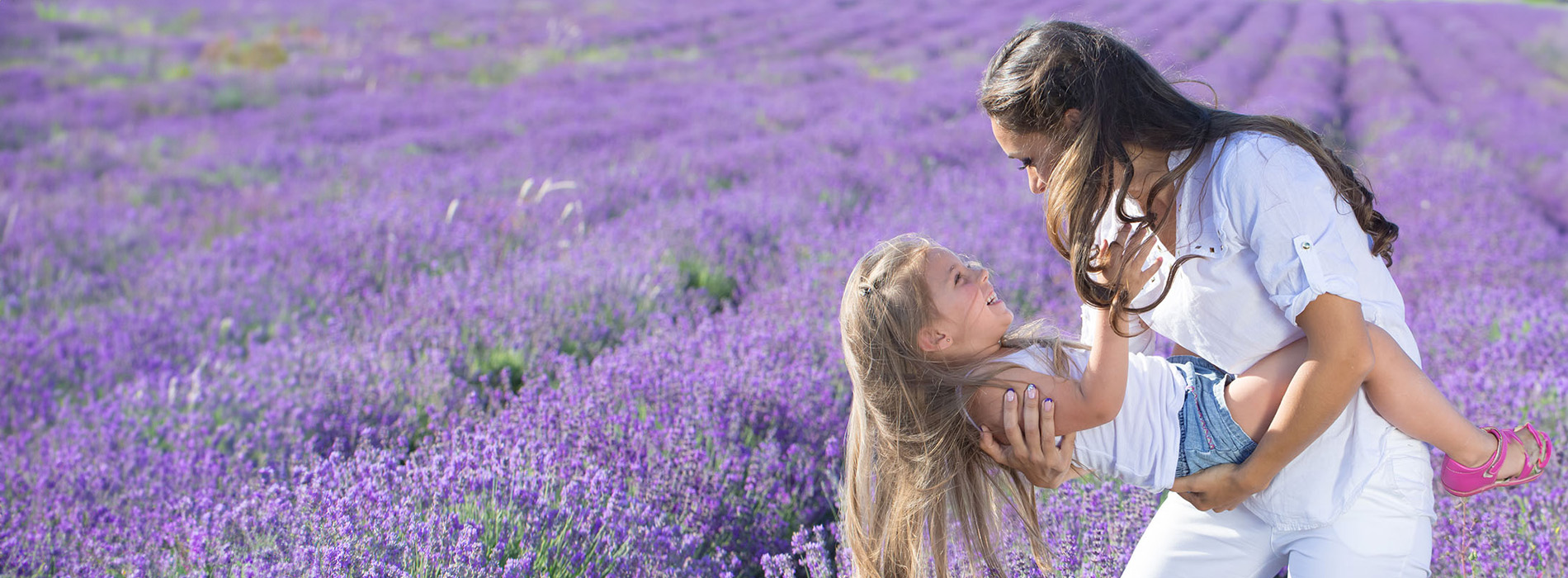 A woman and a young girl are standing amidst lavender fields, with the woman holding the child.